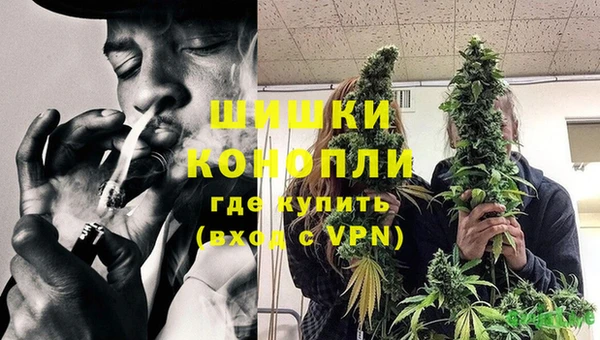 гашик Бородино